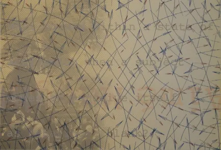 石版画 Arakawa - DERRIÈRE LE MIROIR, No 252. Arakawa.  