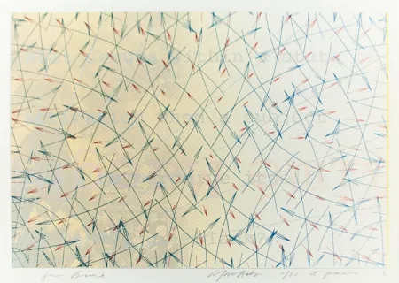 石版画 Arakawa - For aimé