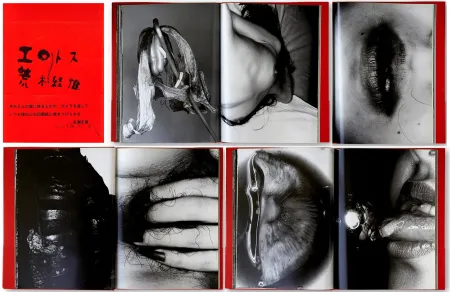插图书 Araki - EROTOS (1993)