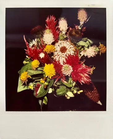 复数作品 Araki - Polaroid #1