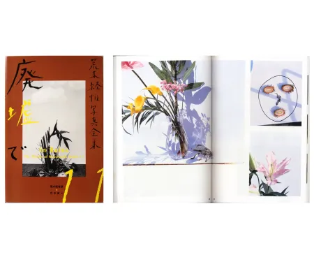 摄影 Araki - The Works of Nobuyoshi Araki - n° 11. IN RUINS