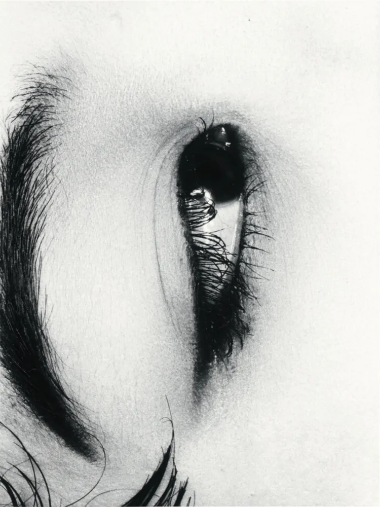 复数作品 Araki - Untitle from Erotos