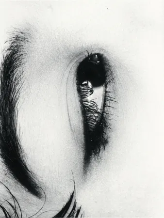 复数作品 Araki - Untitle from Erotos