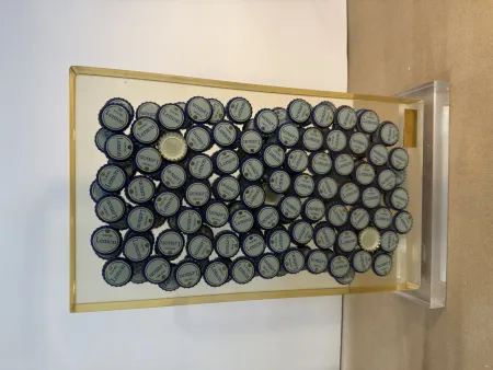 无技术 Arman - Bon santé V, 1996 