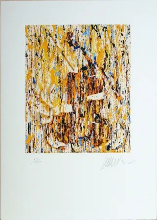 丝网印刷 Arman - VIOLINO