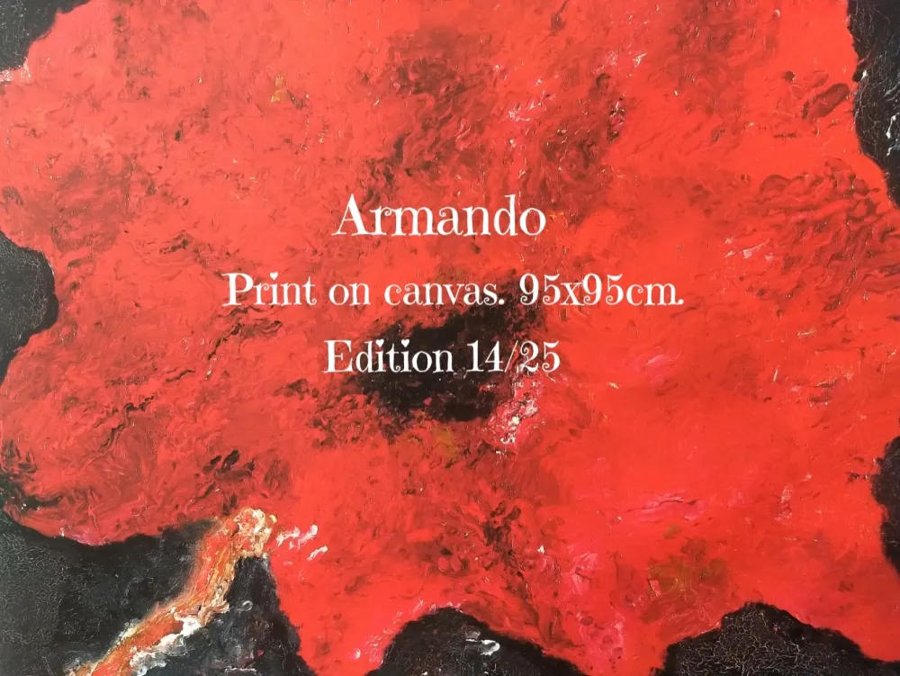 无技术 Armando - Print on cavas