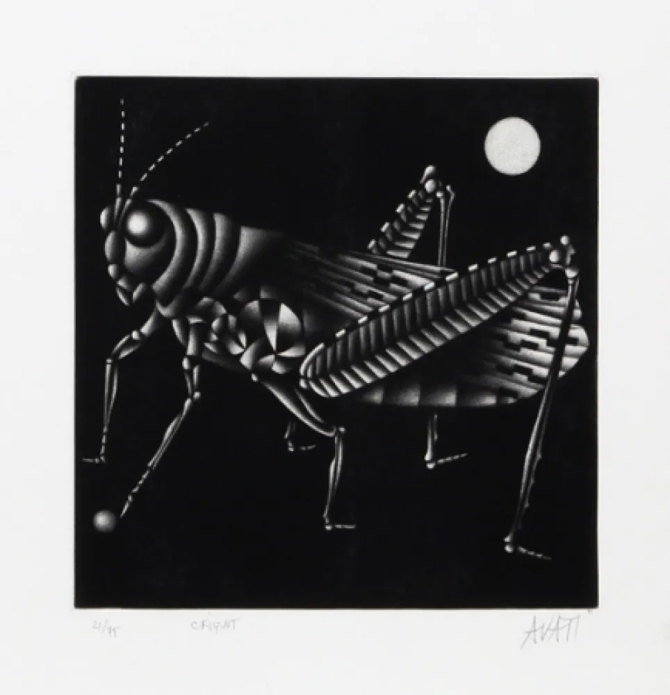 美柔汀铜版画 Avati - Criquet