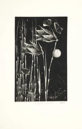 飞尘腐蚀法 Avati - Les papillons de Nagasaki