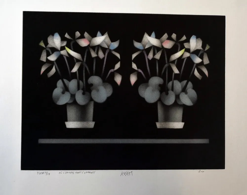 美柔汀铜版画 Avati - Ou l'enverse vaut l'endroit