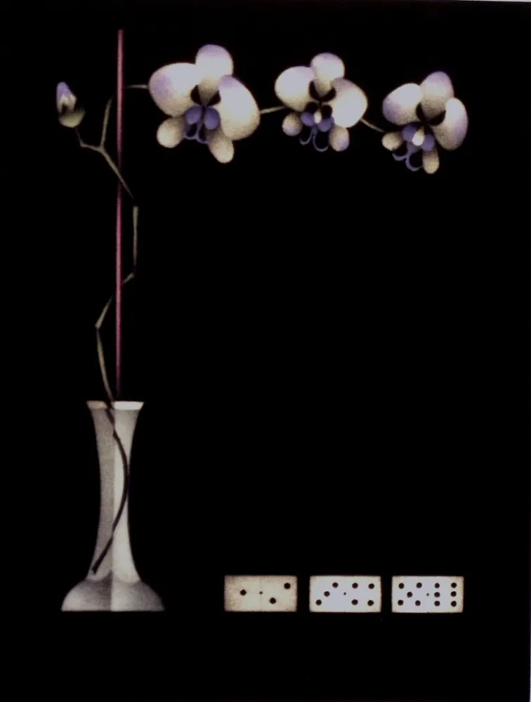 美柔汀铜版画 Avati - Une théorie de dominos