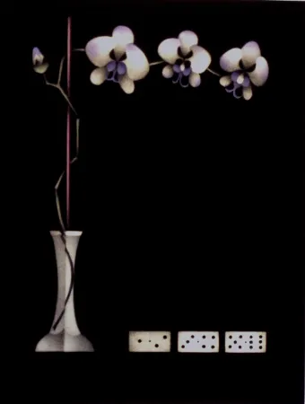 美柔汀铜版画 Avati - Une théorie de dominos