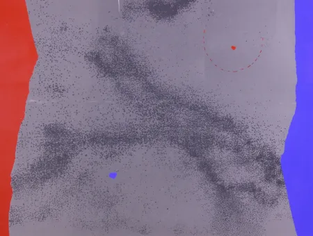 石版画 Bacci - SENZA TITOLO