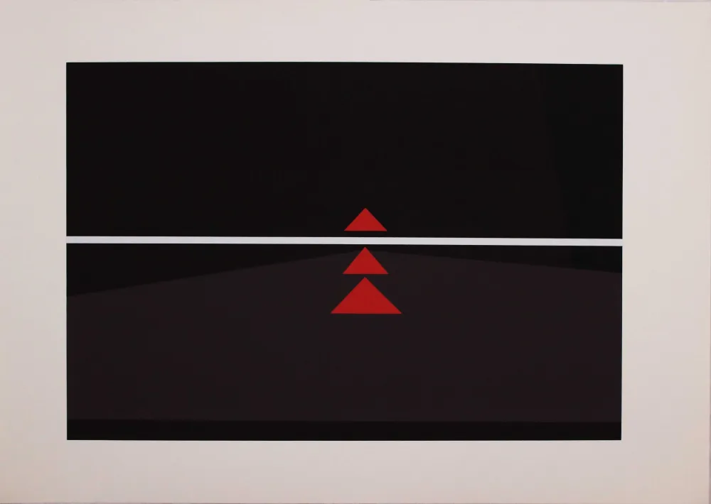 丝网印刷 Badiali - Sei fasi progressive di verticalità elastica