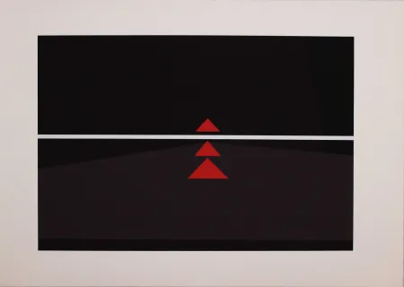 丝网印刷 Badiali - Sei fasi progressive di verticalità elastica