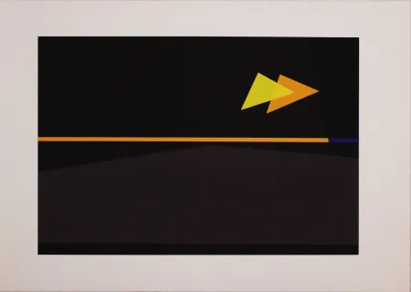 丝网印刷 Badiali - Sei fasi progressive di verticalità elastica