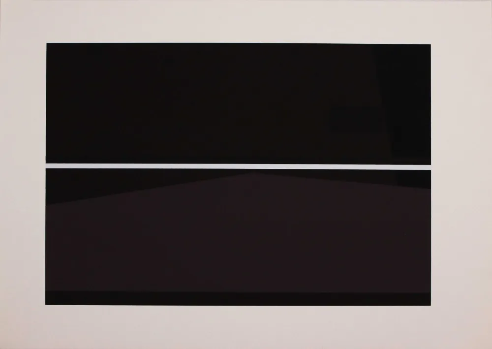 丝网印刷 Badiali - Sei fasi progressive di verticalità elastica