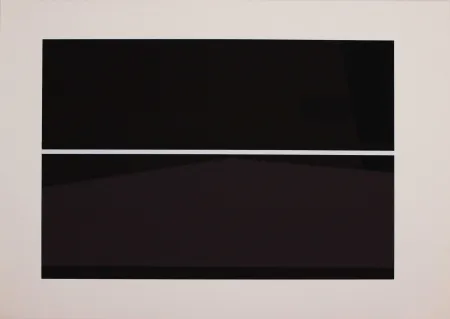 丝网印刷 Badiali - Sei fasi progressive di verticalità elastica