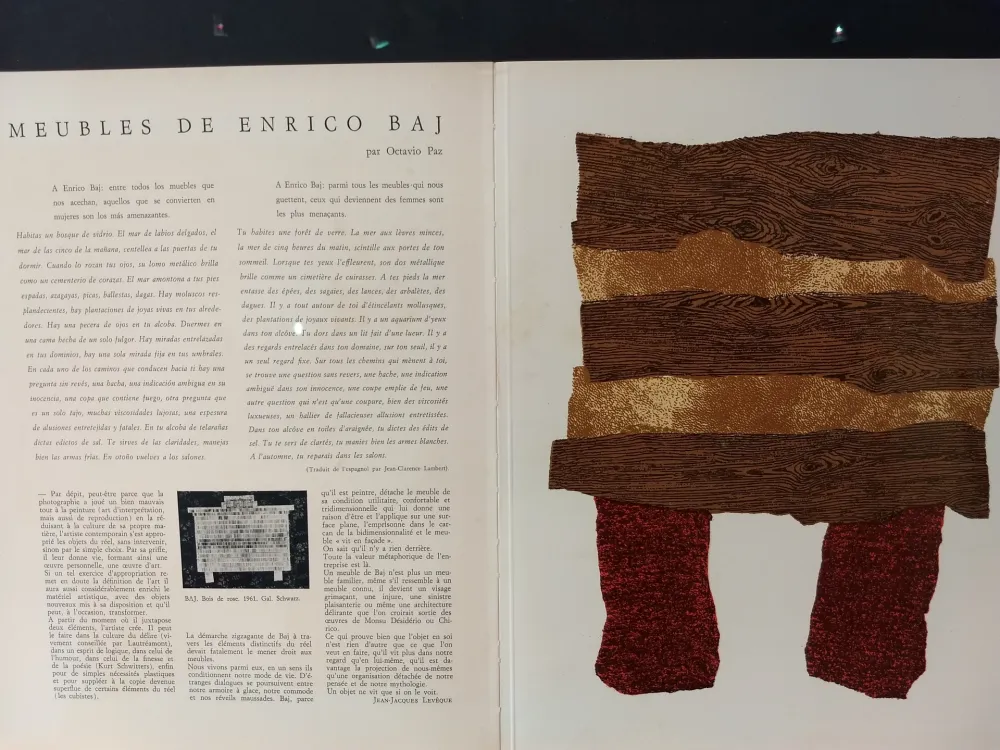 插图书 Baj - Xxe No 20