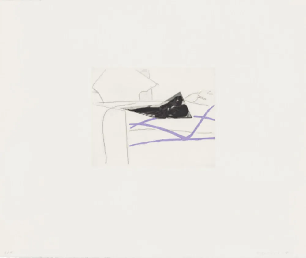 蚀刻飞尘法 Baldessari - Black Dice 5