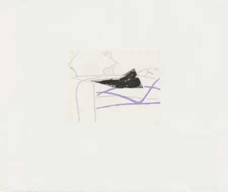 蚀刻飞尘法 Baldessari - Black Dice 5