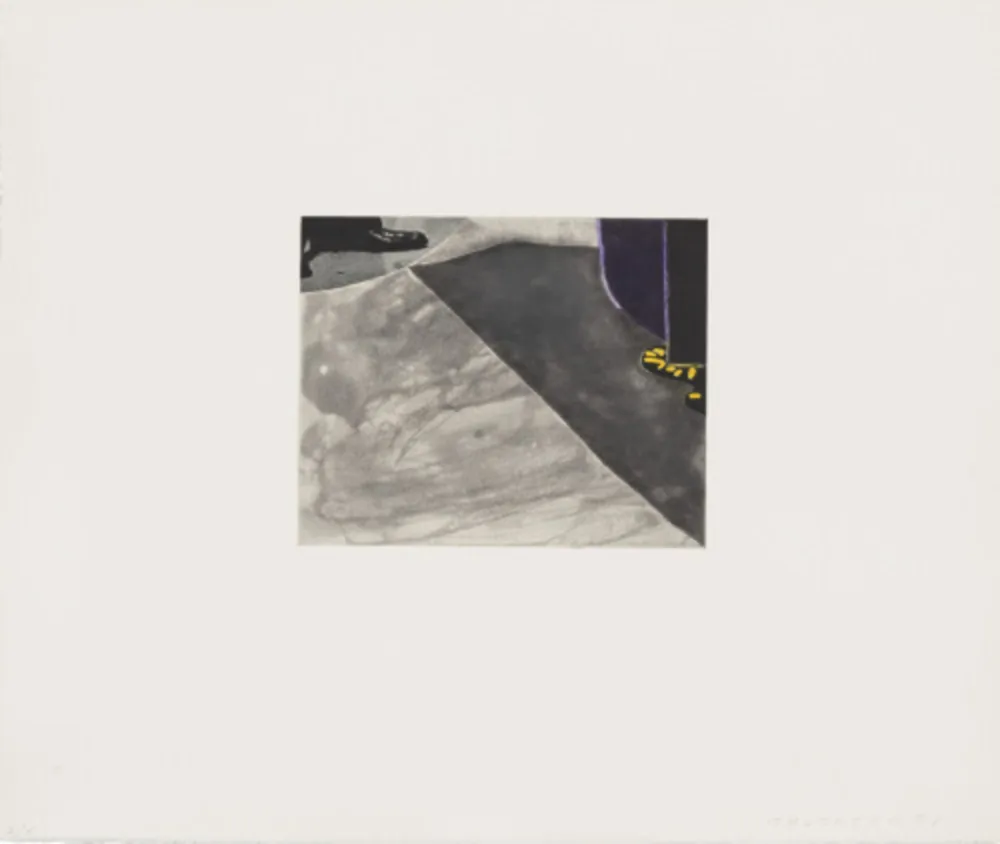 蚀刻飞尘法 Baldessari - Black Dice 7
