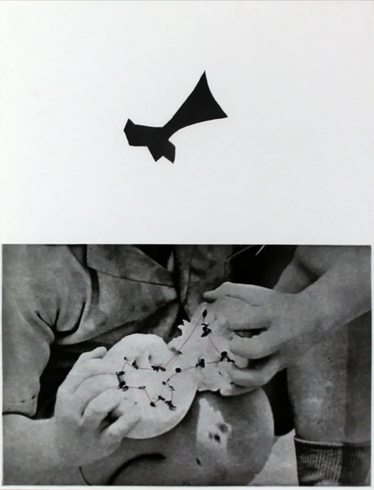 蚀刻飞尘法 Baldessari - Seeds
