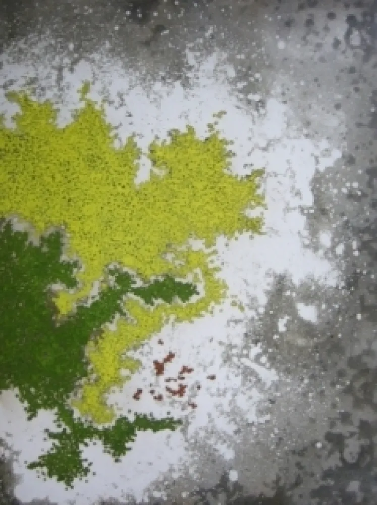 版画 Ballif - LeVenez