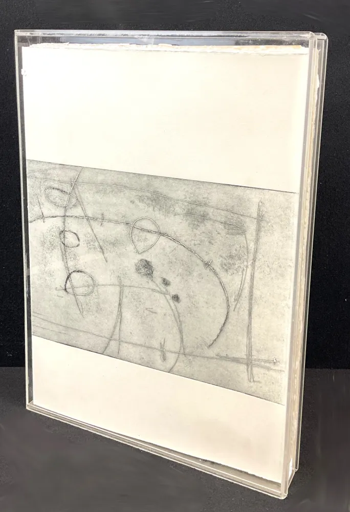 蚀刻飞尘法 Barbi - Alle origini della poesia