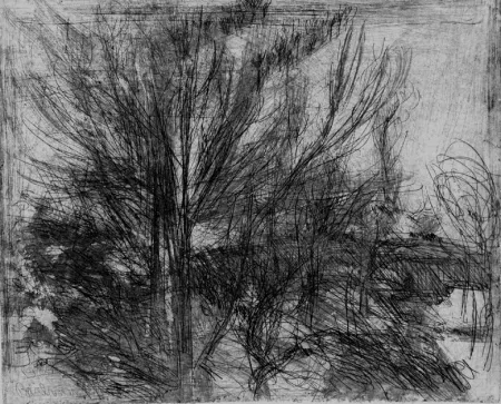 蚀刻版画 Barbisan - Alberi