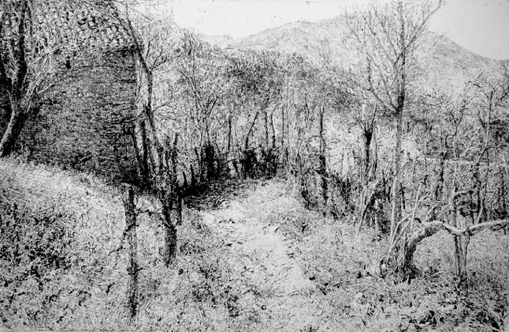 蚀刻版画 Barbisan - Paesaggio in collina