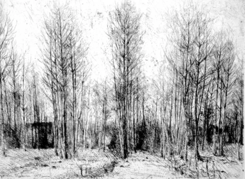 蚀刻版画 Barbisan - Pioppi