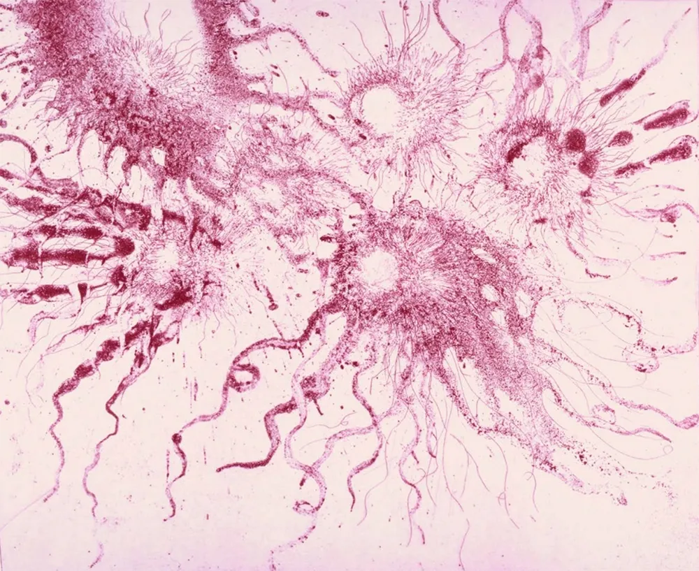 蚀刻飞尘法 Barcelo - Lanzarote 20