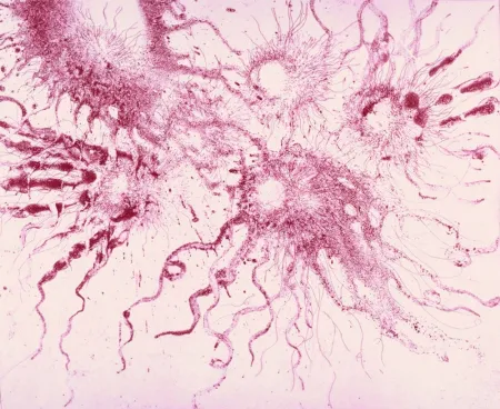 蚀刻飞尘法 Barcelo - Lanzarote 20