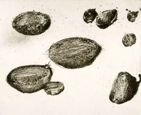 蚀刻飞尘法 Barcelo - Lanzarote 22