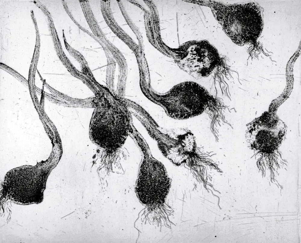 蚀刻飞尘法 Barcelo - Lanzarote 24