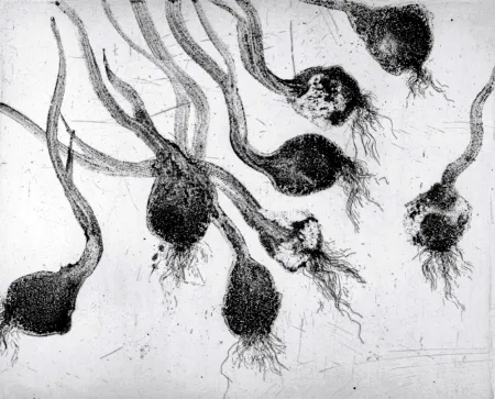 蚀刻飞尘法 Barcelo - Lanzarote 24