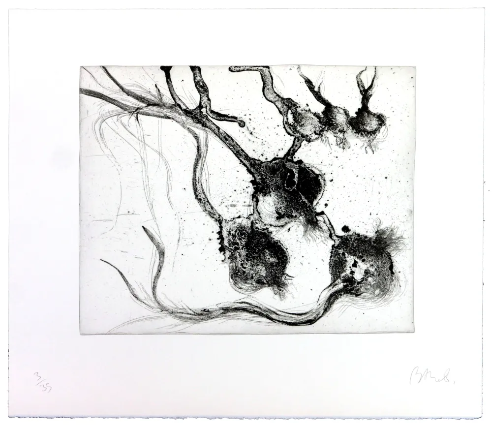 版画 Barcelo - Lanzarote 25