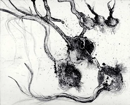 版画 Barcelo - Lanzarote 25