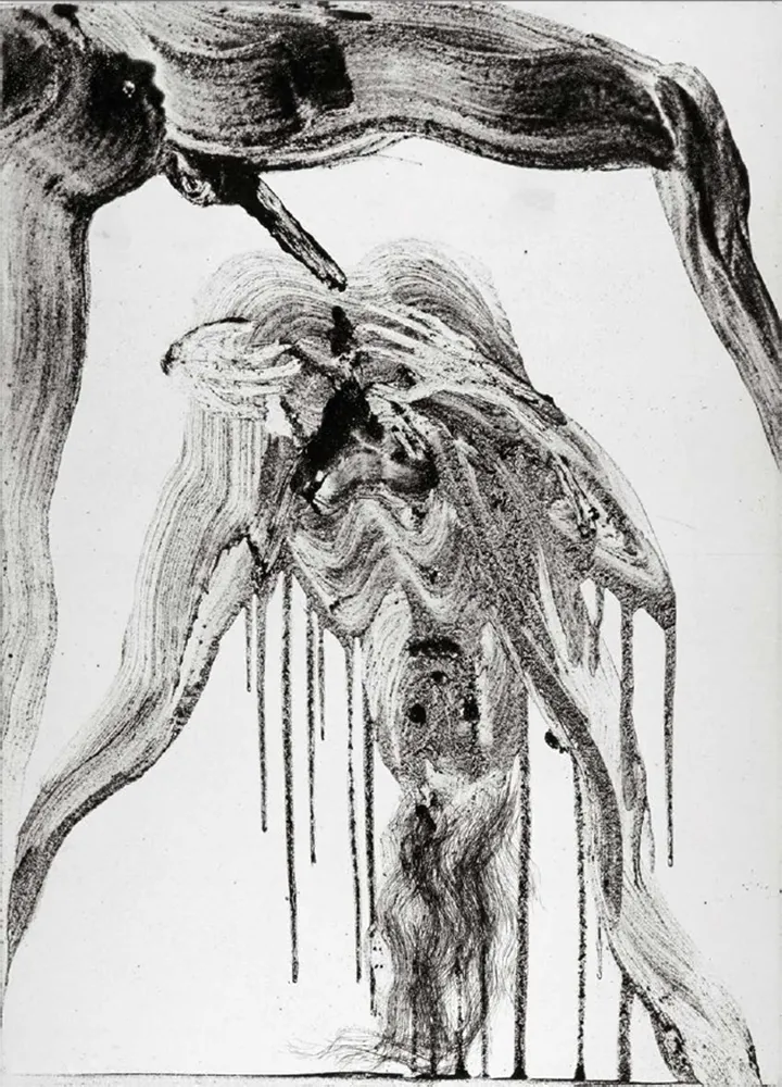 飞尘腐蚀法 Barcelo - Lanzarote 37