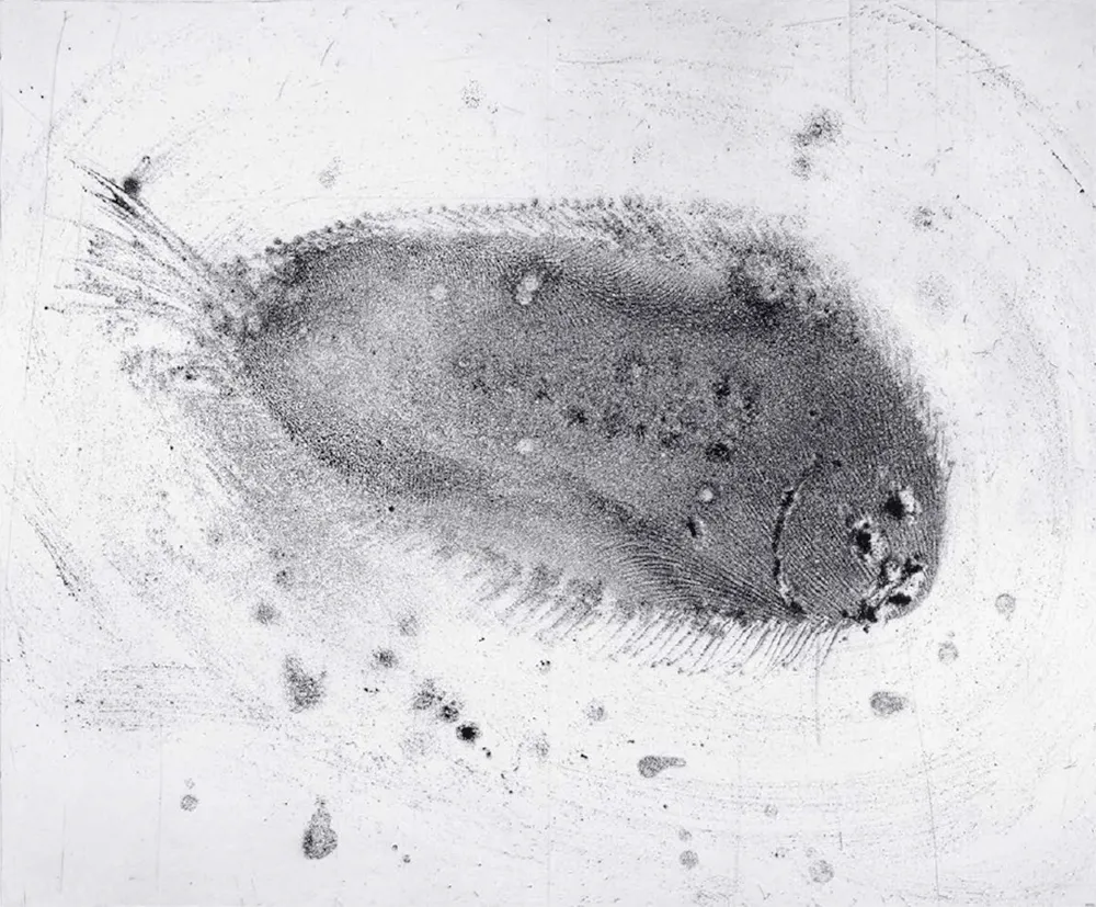 蚀刻飞尘法 Barcelo - Lanzarote 39