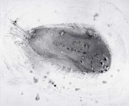 蚀刻飞尘法 Barcelo - Lanzarote 39