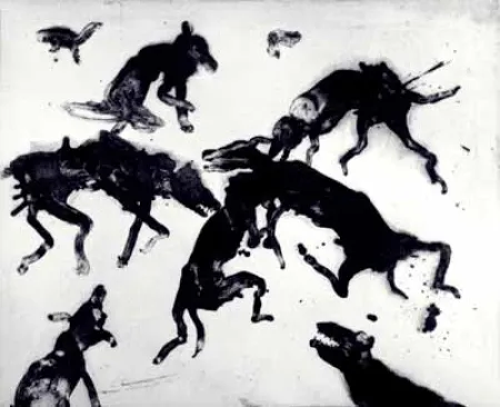 飞尘腐蚀法 Barcelo - Lanzarote 4