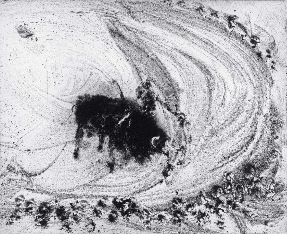 飞尘腐蚀法 Barcelo - Lanzarote 48