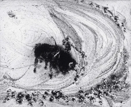 飞尘腐蚀法 Barcelo - Lanzarote 48