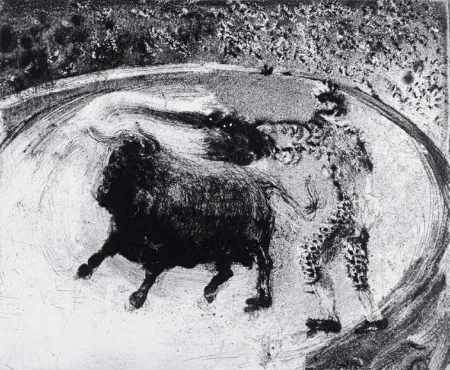 飞尘腐蚀法 Barcelo - Lanzarote 49