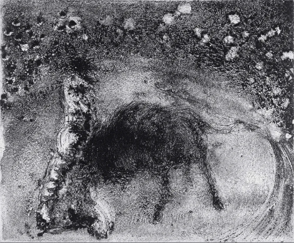 飞尘腐蚀法 Barcelo - Lanzarote 50