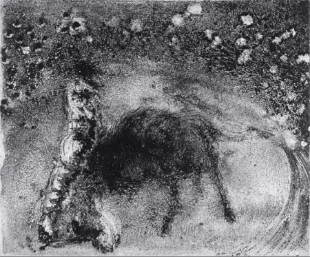 飞尘腐蚀法 Barcelo - Lanzarote 50