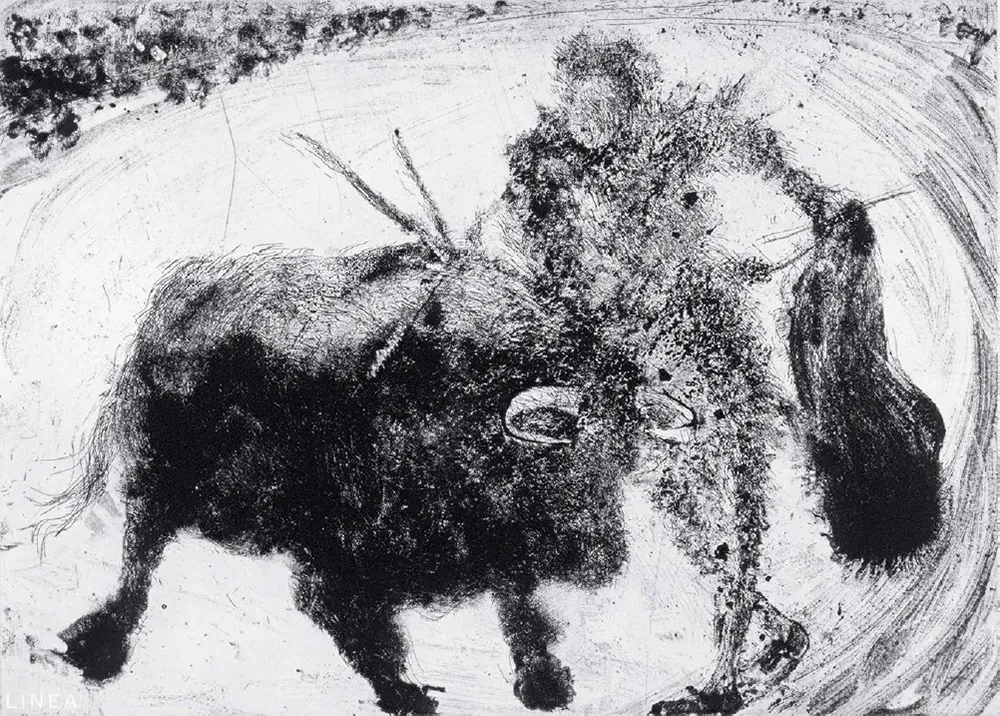 飞尘腐蚀法 Barcelo - Lanzarote 53