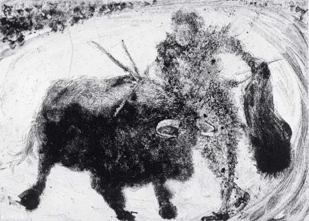 飞尘腐蚀法 Barcelo - Lanzarote 53