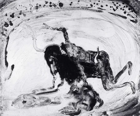 飞尘腐蚀法 Barcelo - Lanzarote 55